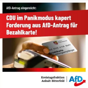 AfD Antrag im Kreistag 